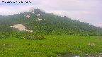 area1-20250626050018.jpg