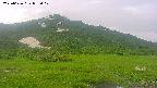 area1-20250626052020.jpg