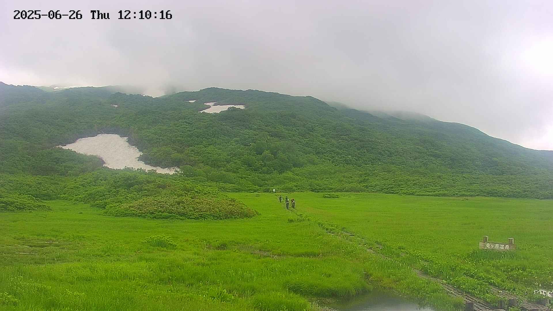 area1-20250626121020.jpg