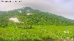 area1-20250628072023.jpg