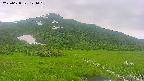 area1-20250628121019.jpg