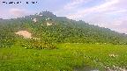 area1-20250630050021.jpg