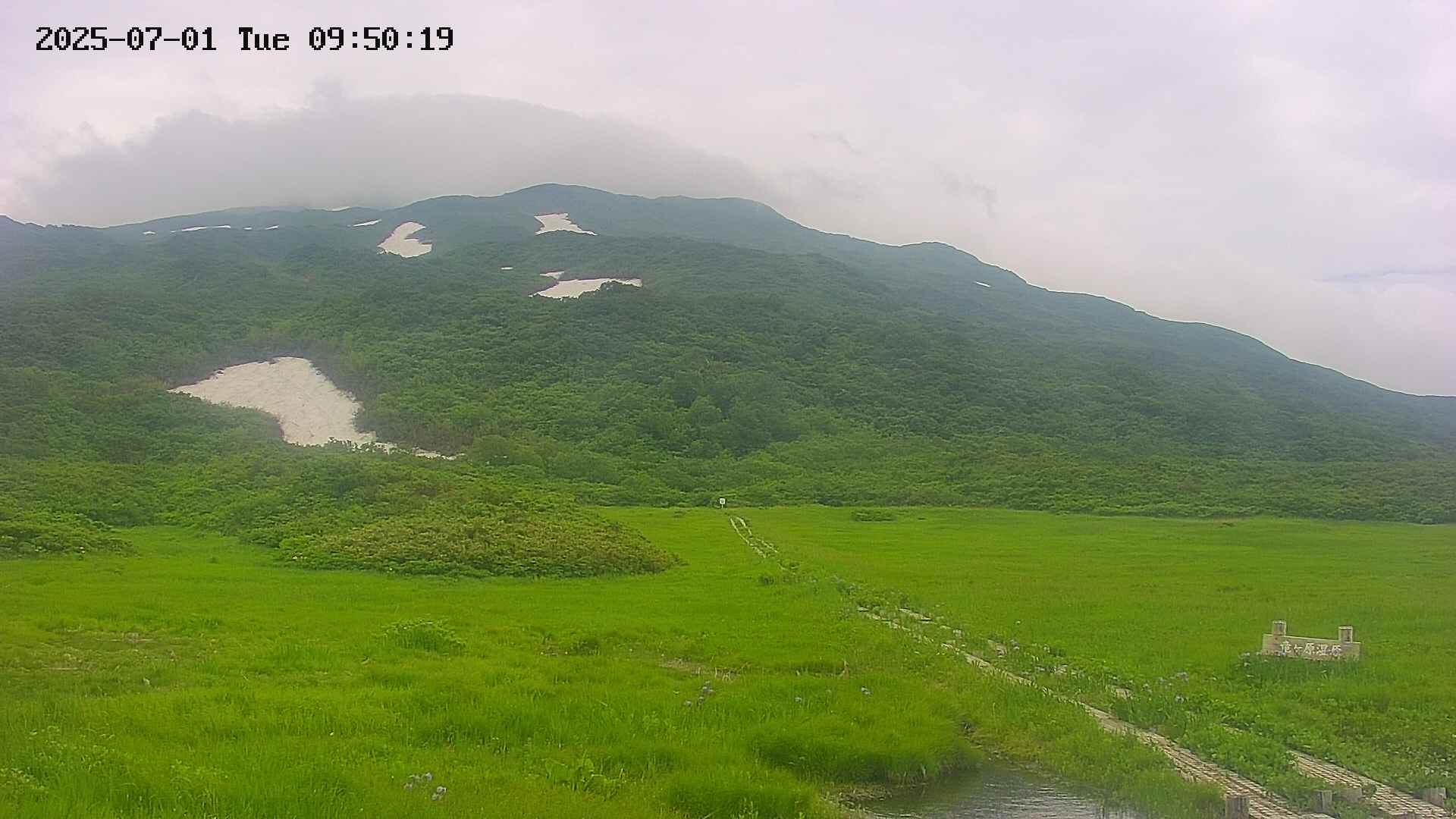area1-20250701095020.jpg