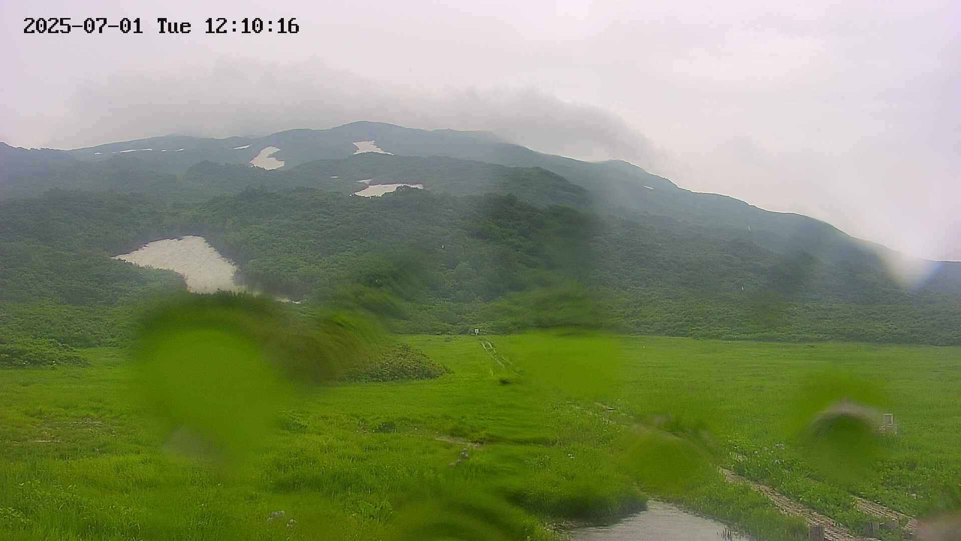 area1-20250701121017.jpg