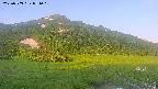 area1-20250703051019.jpg