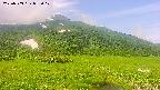 area1-20250703082019.jpg