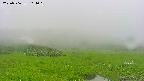area1-20250706104018.jpg