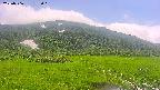 area1-20250706132017.jpg