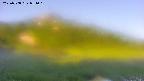 area1-20250708051020.jpg