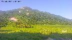 area1-20250708061020.jpg