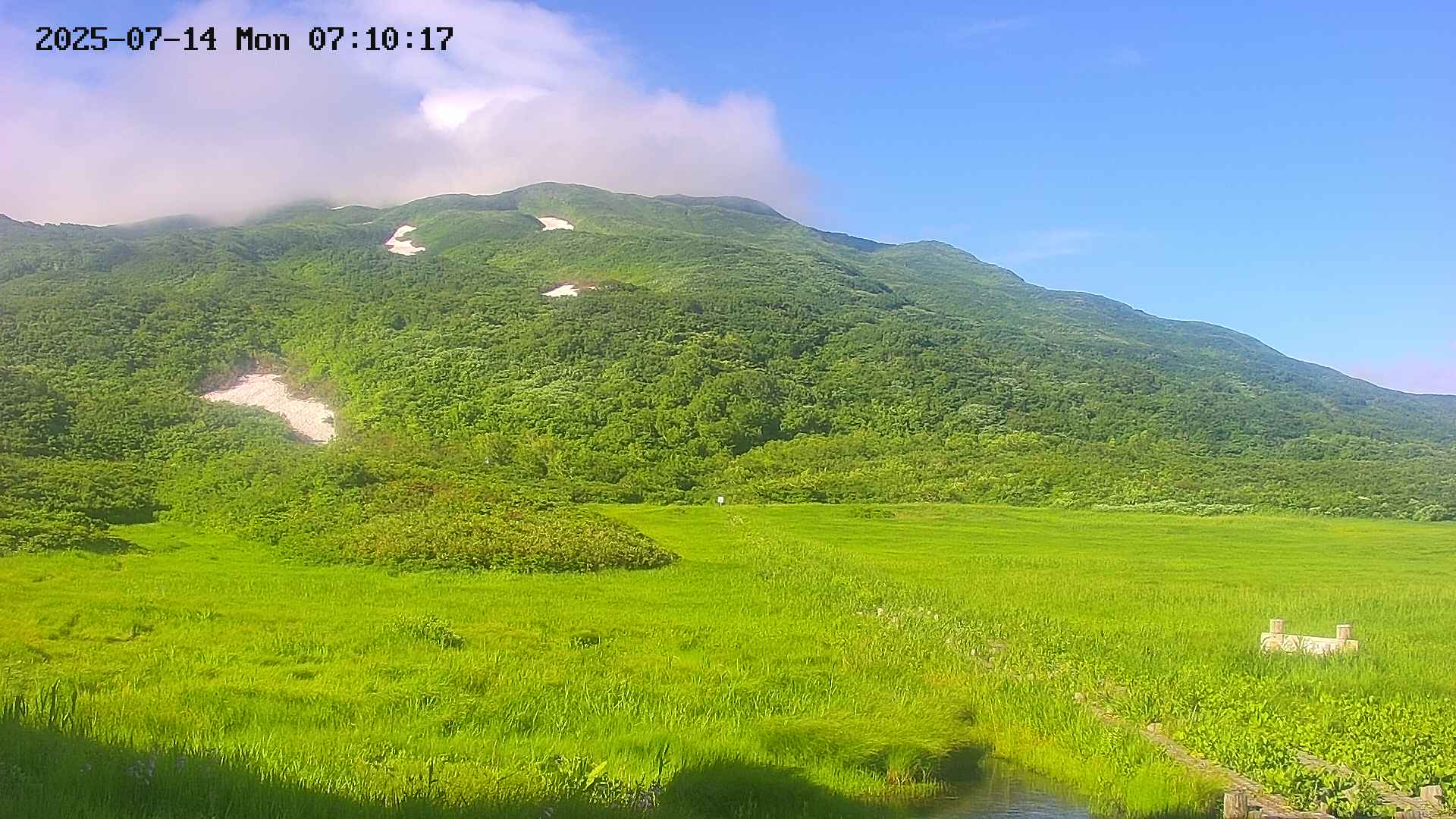 area1-20250714071018.jpg