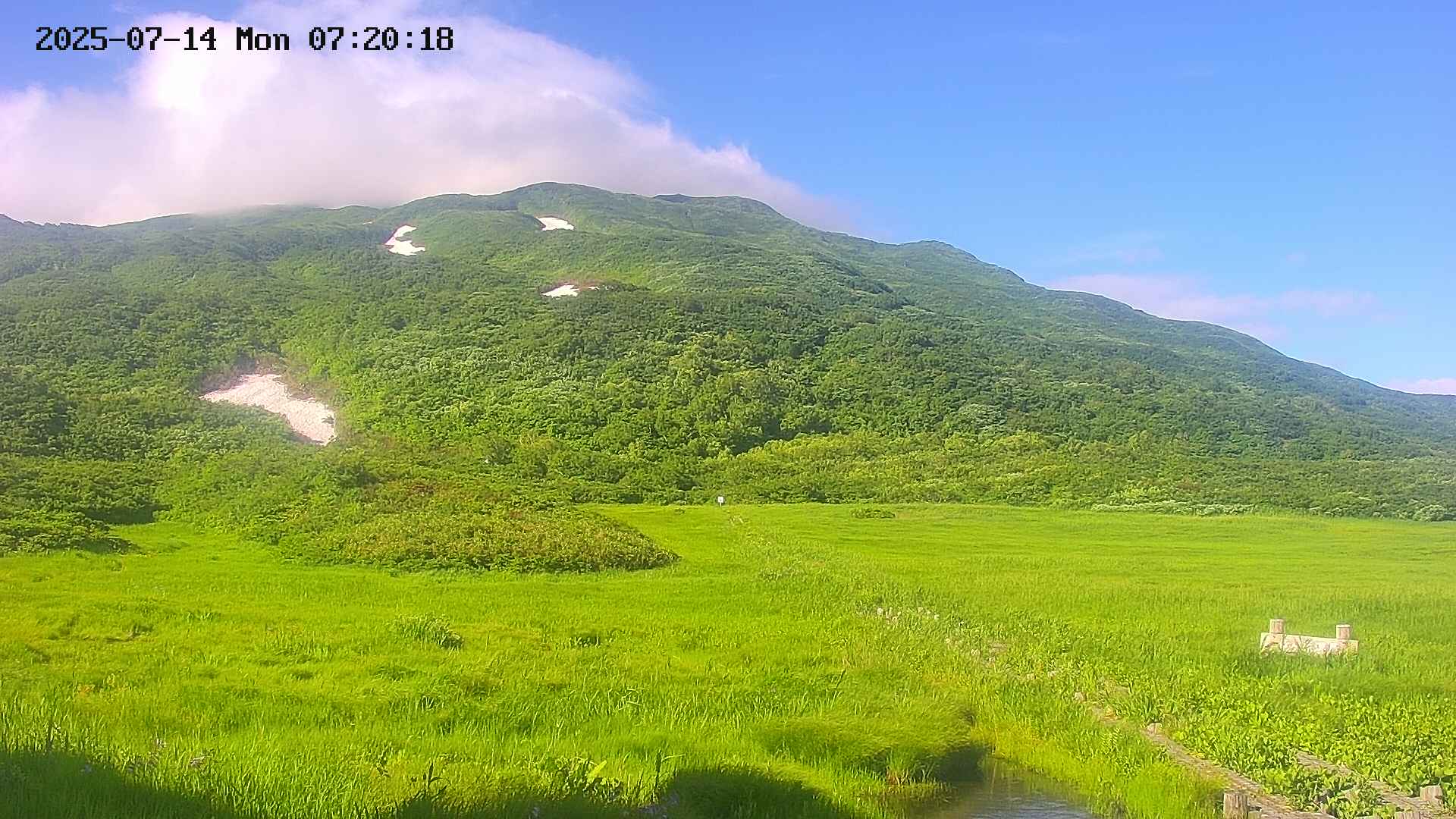 area1-20250714072020.jpg