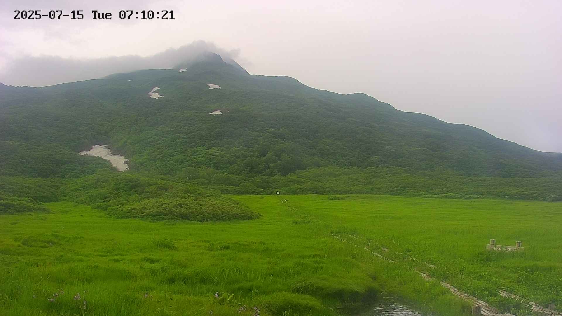 area1-20250715071021.jpg