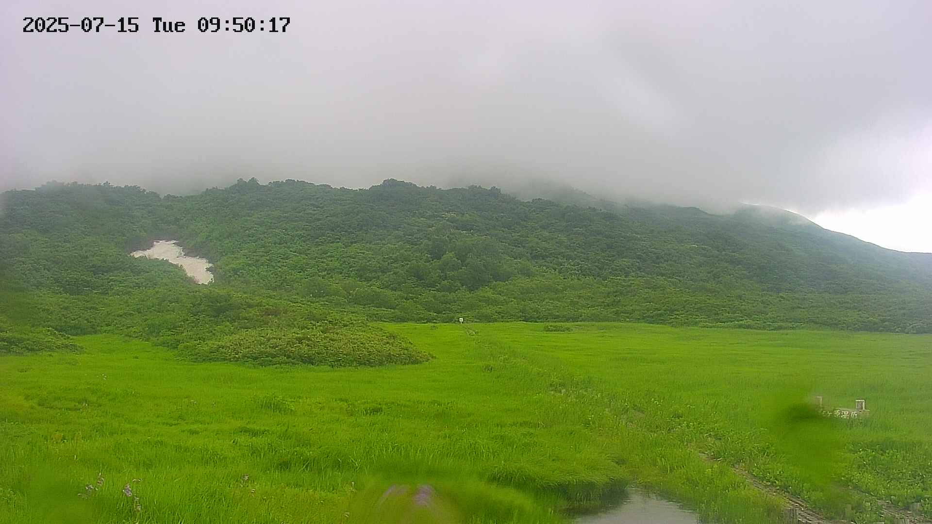 area1-20250715095018.jpg