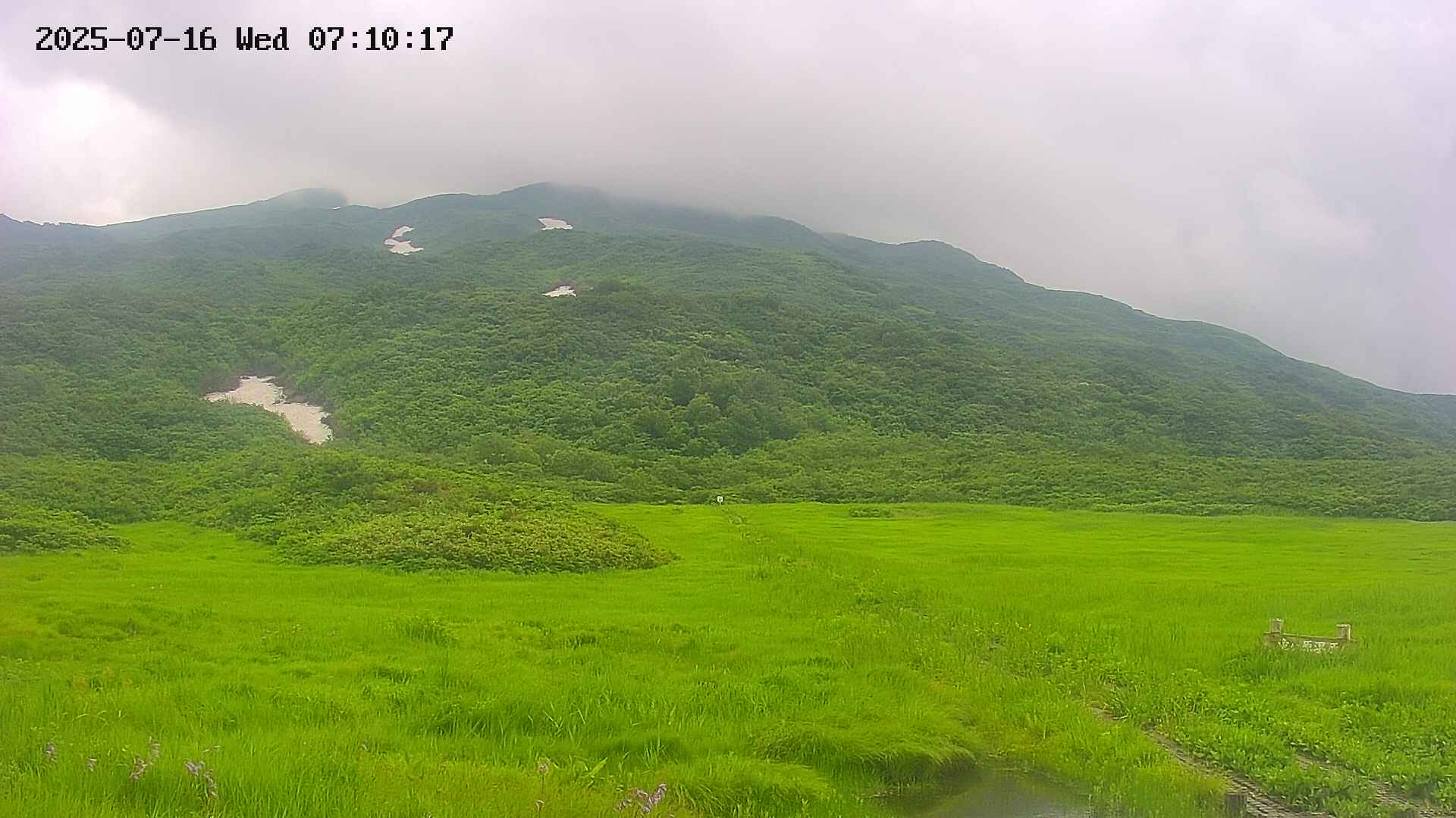 area1-20250716071018.jpg