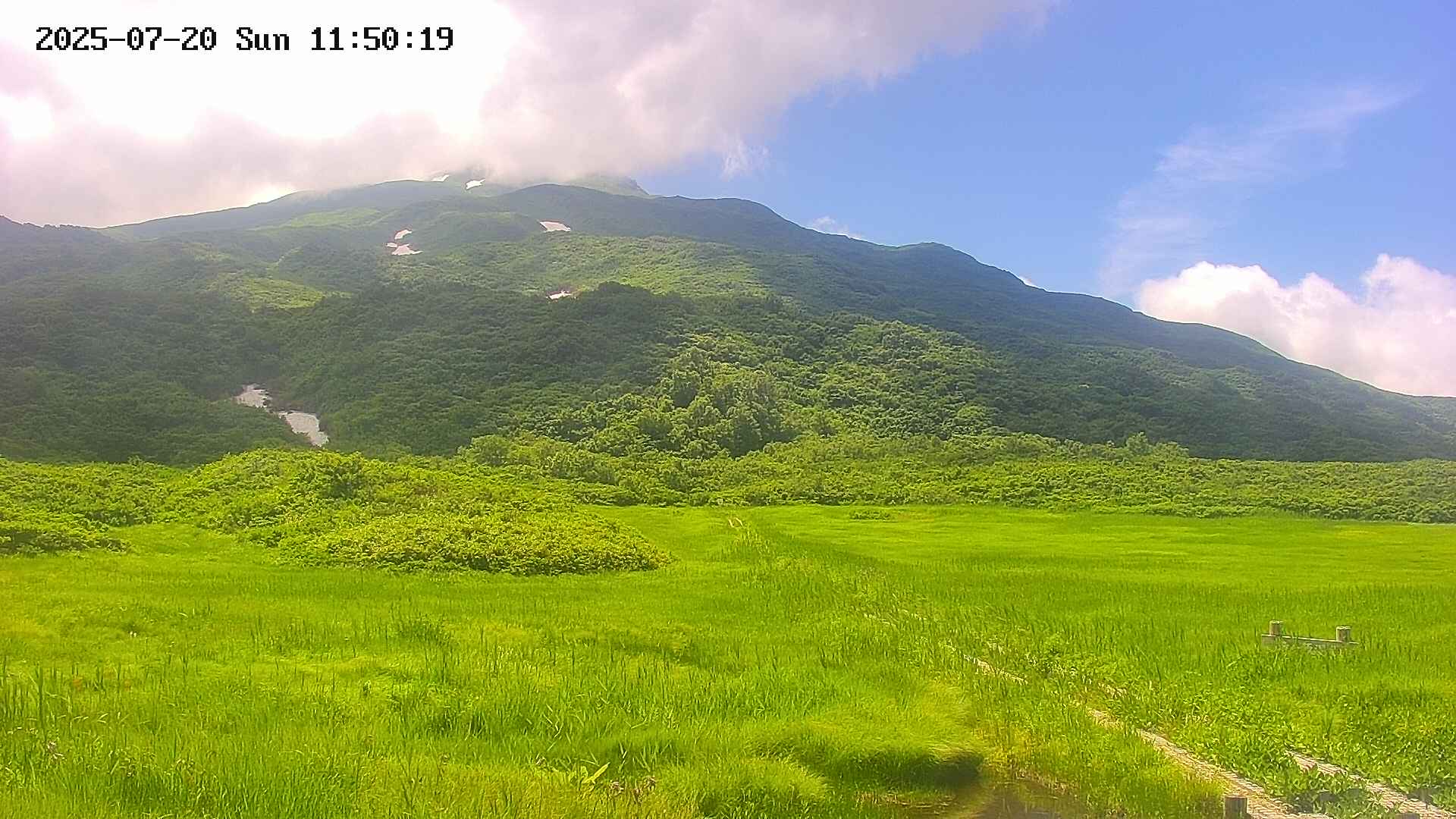 竜ヶ原湿原と鳥海山