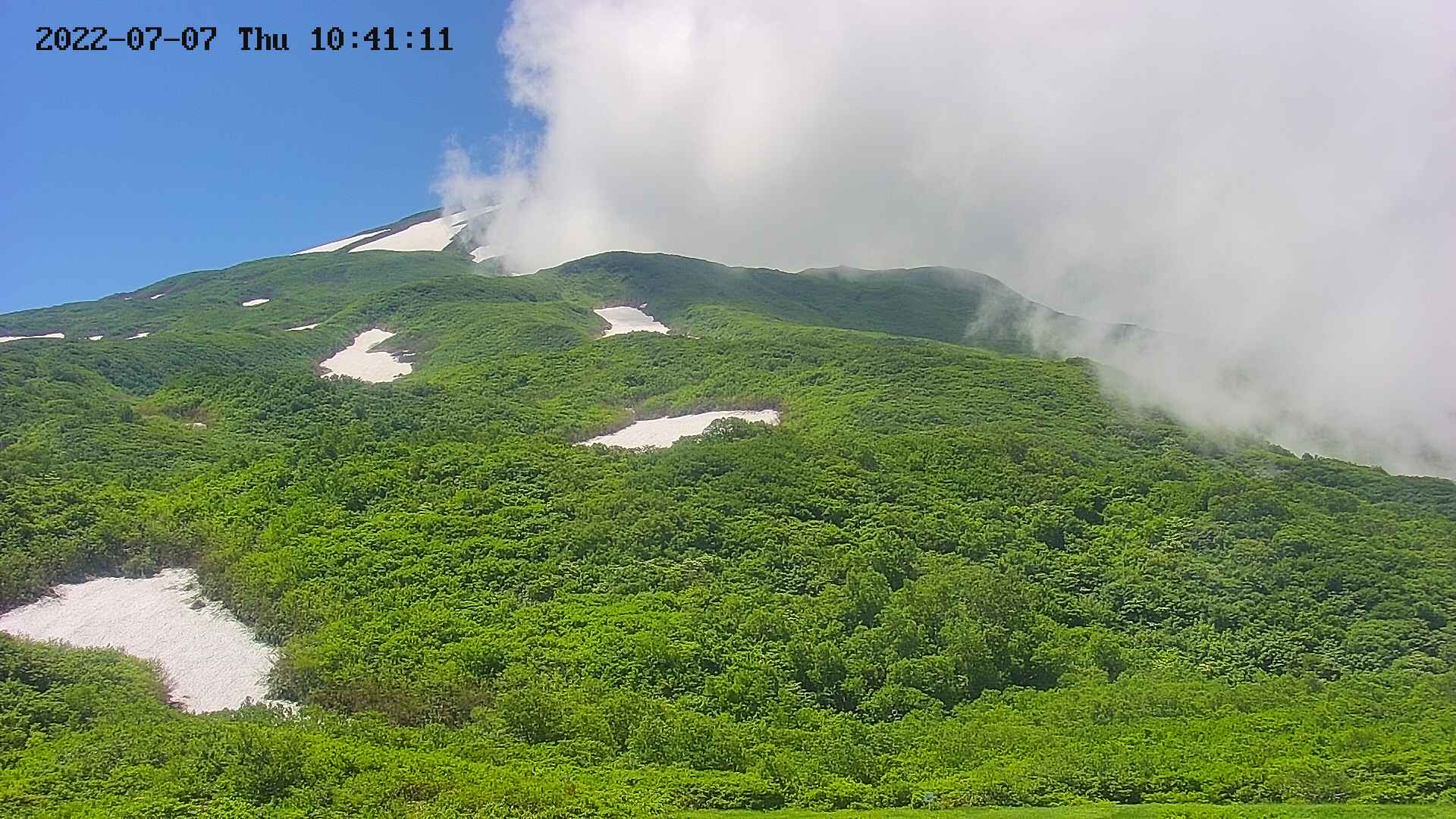 area2-20220707104113.jpg