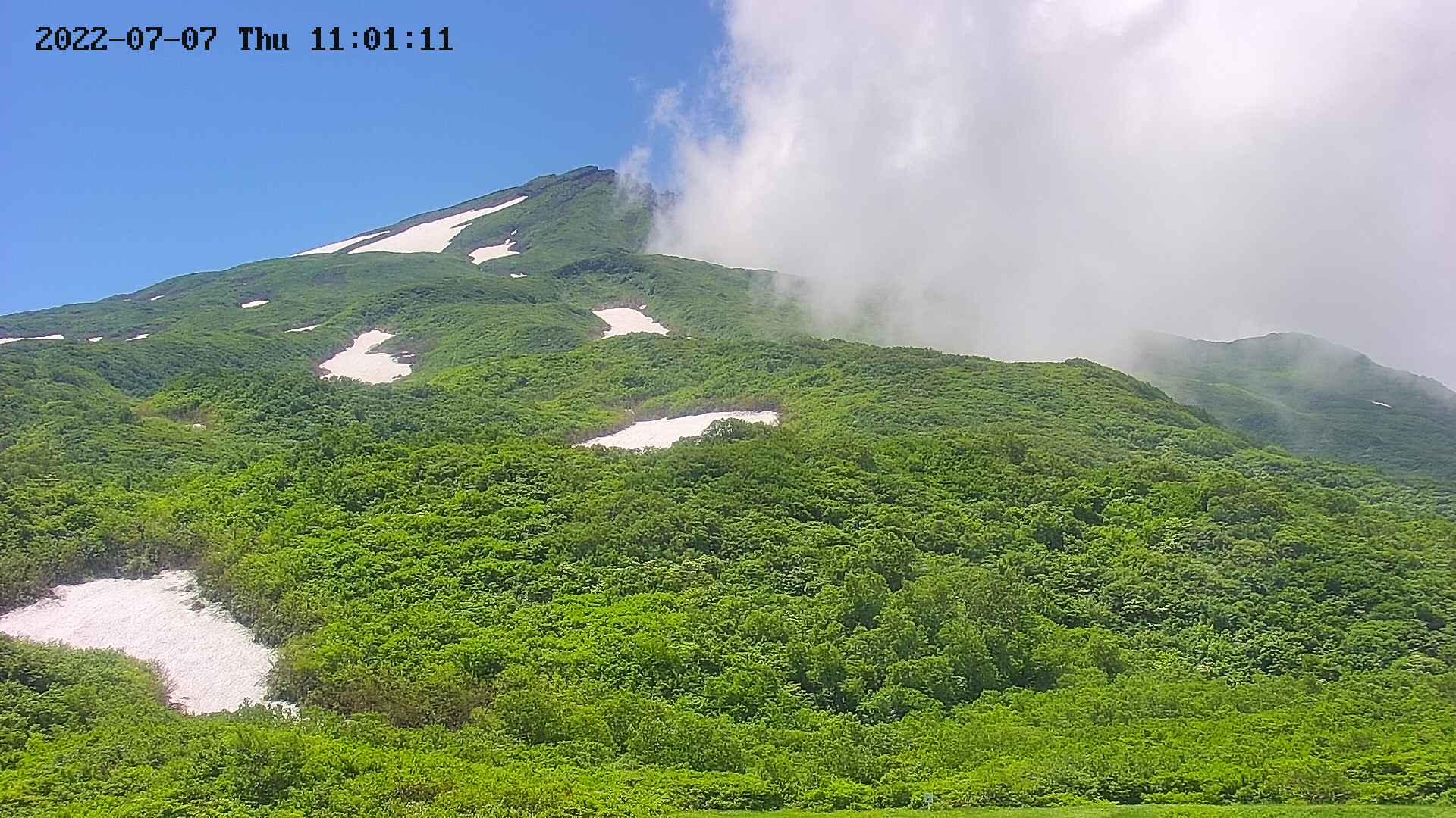 area2-20220707110113.jpg