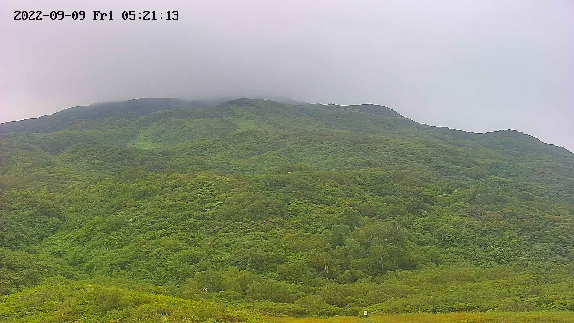 area2-20220909052114.jpg