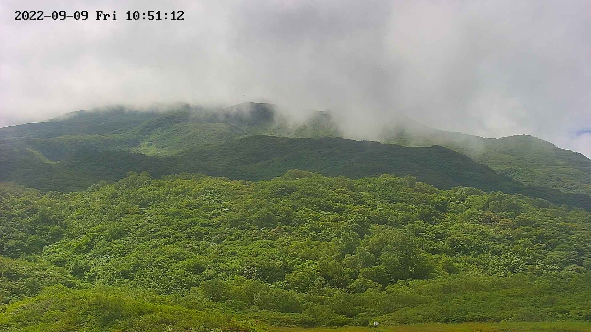 area2-20220909105114.jpg