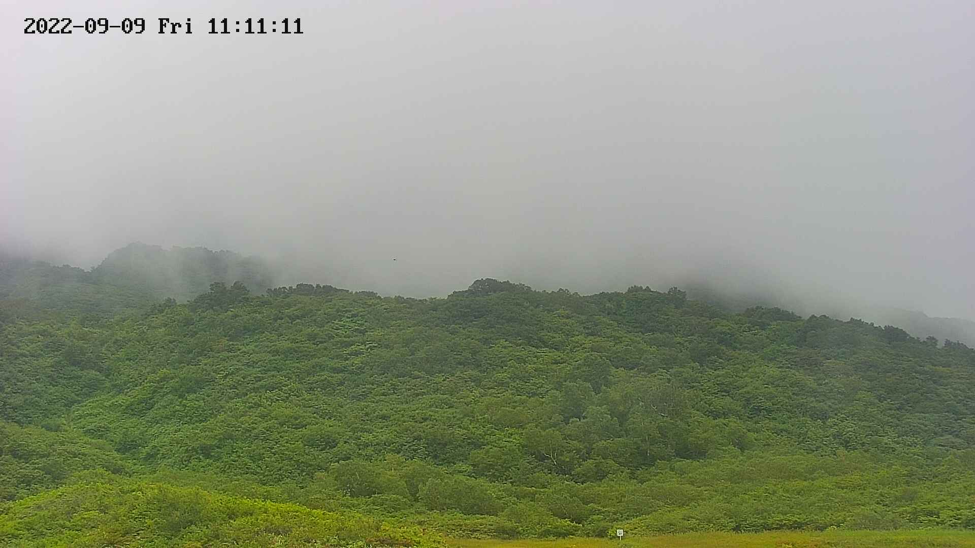 area2-20220909111112.jpg