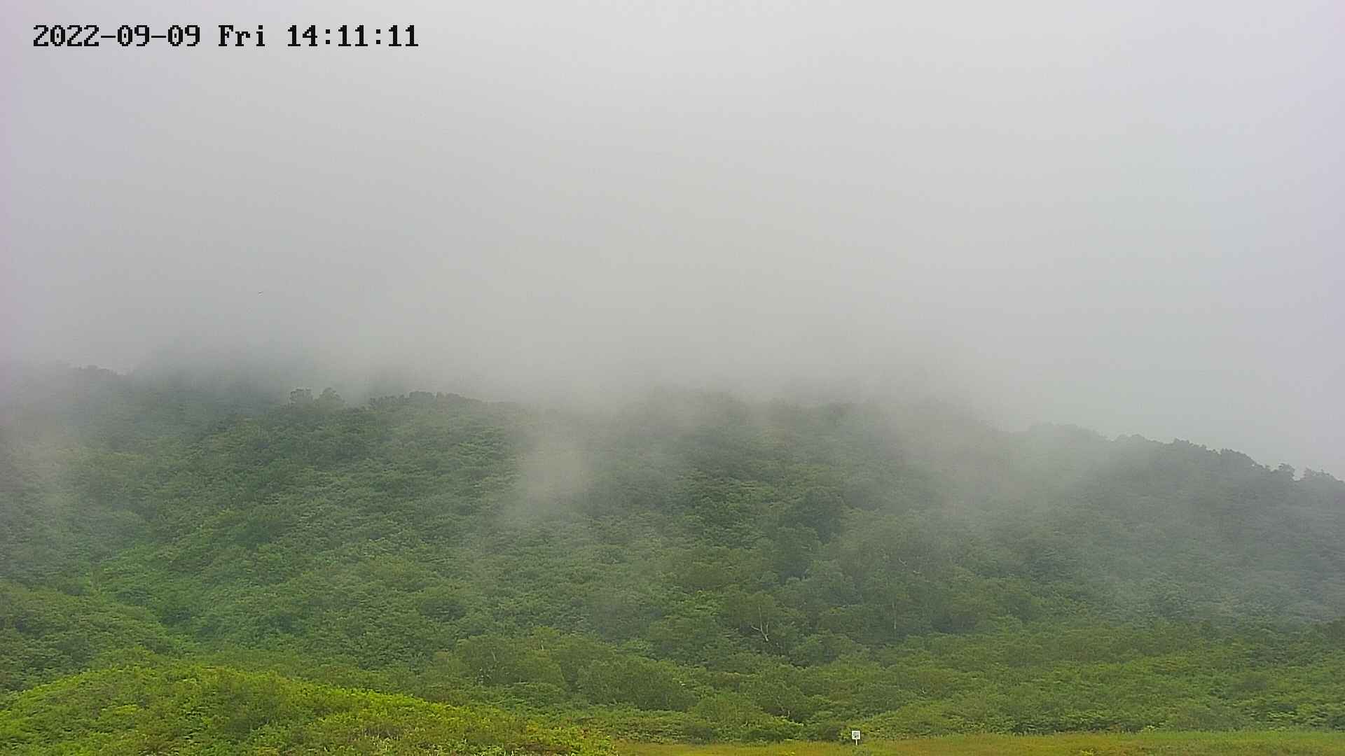 area2-20220909141112.jpg