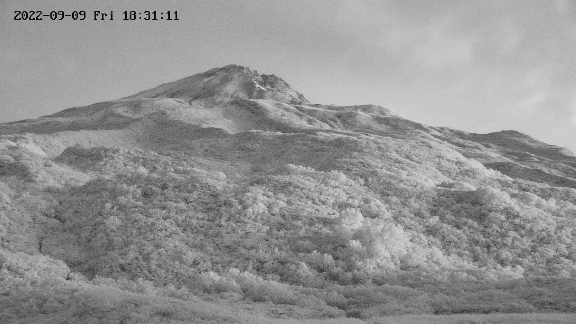 area2-20220909183113.jpg