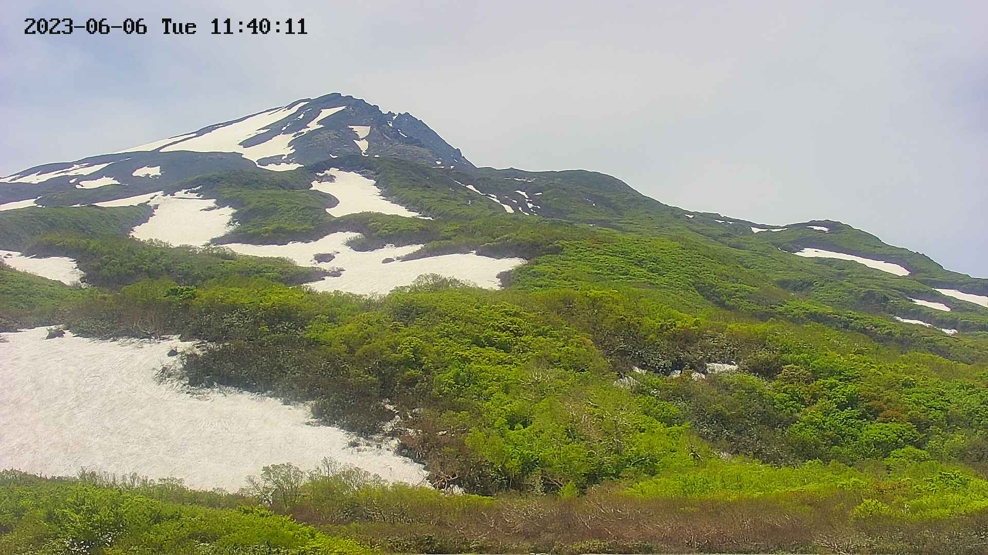 area2-20230606114013.jpg