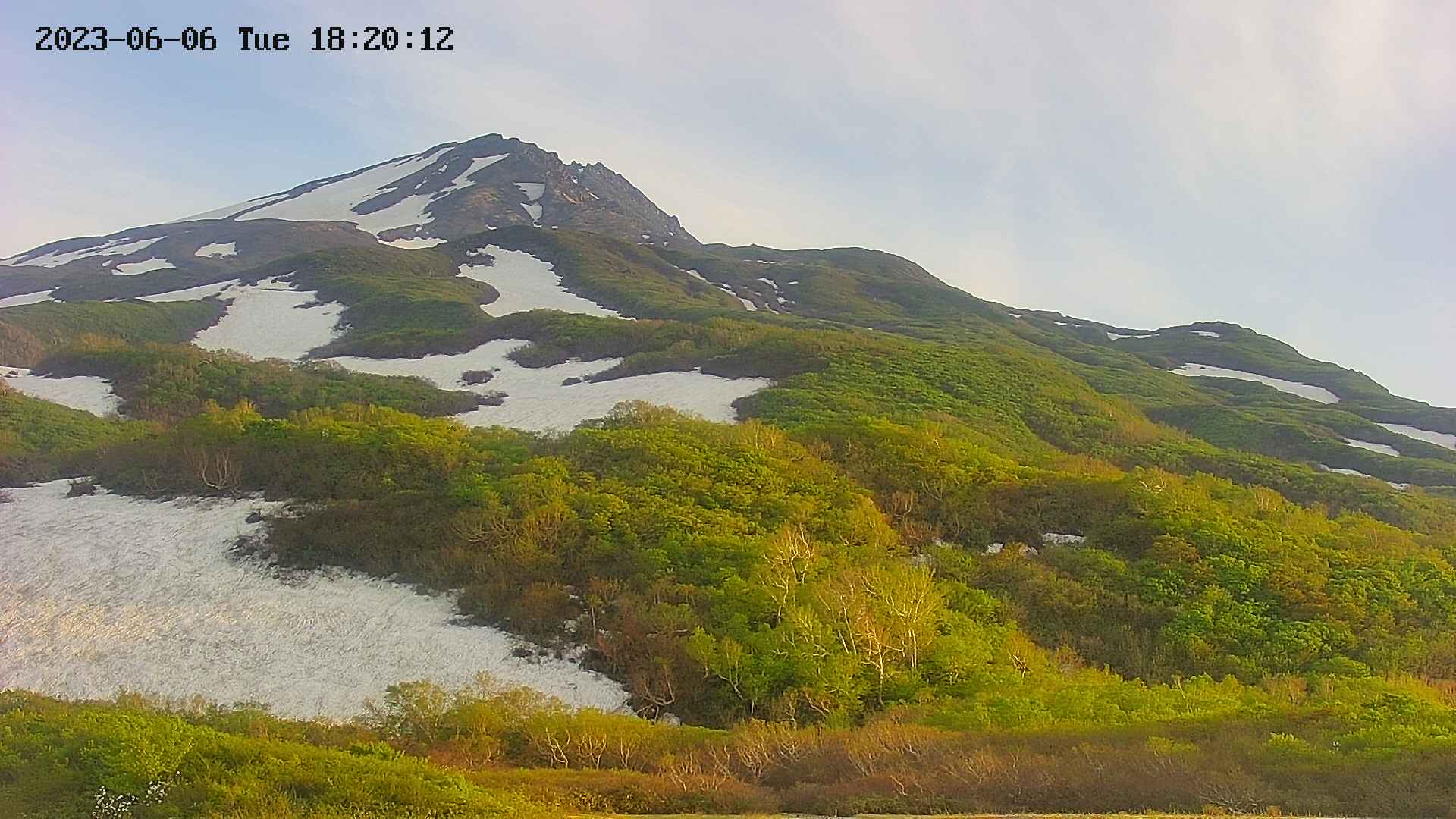 area2-20230606182013.jpg