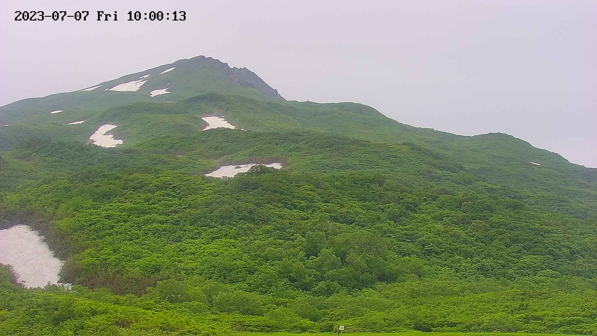 area2-20230707100021.jpg