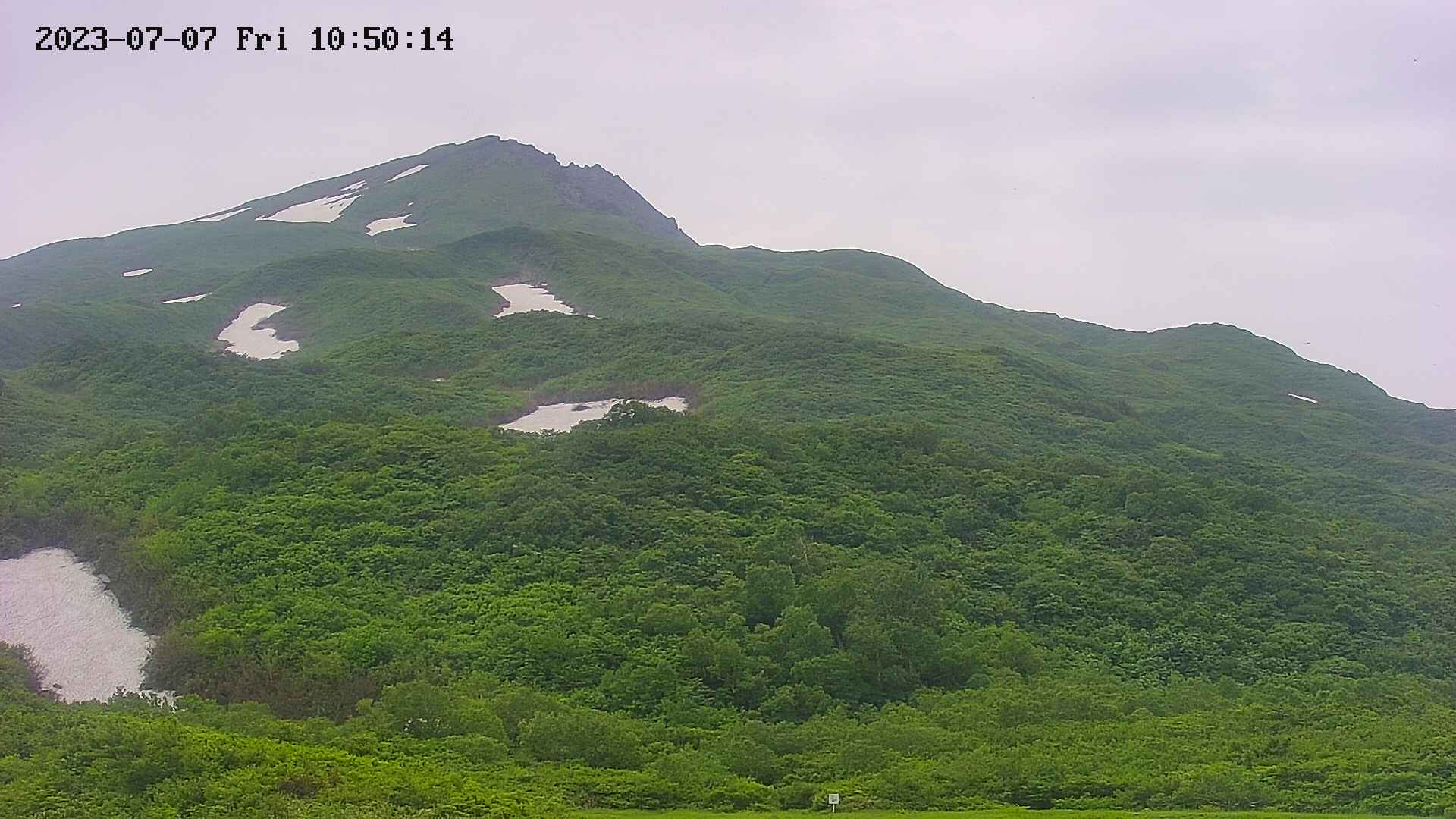 area2-20230707105015.jpg