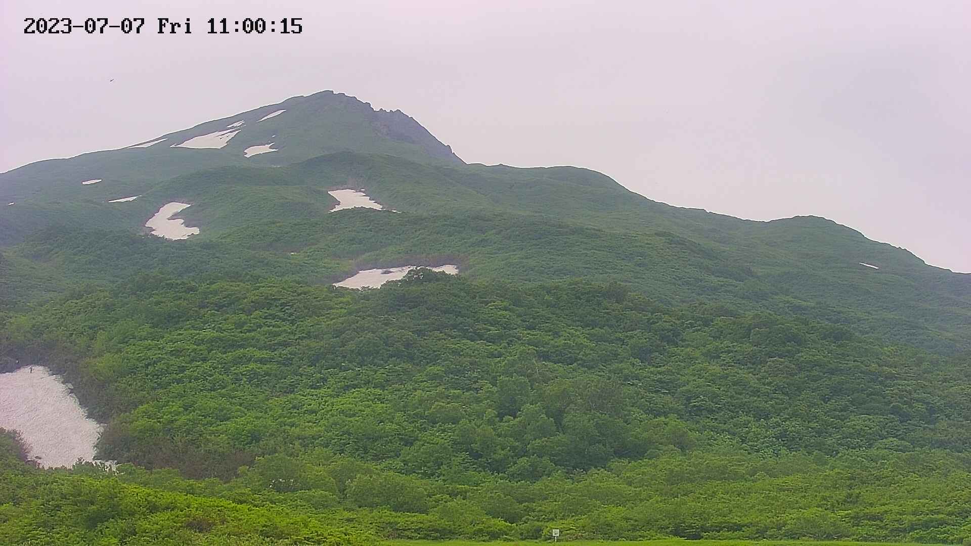 area2-20230707110015.jpg