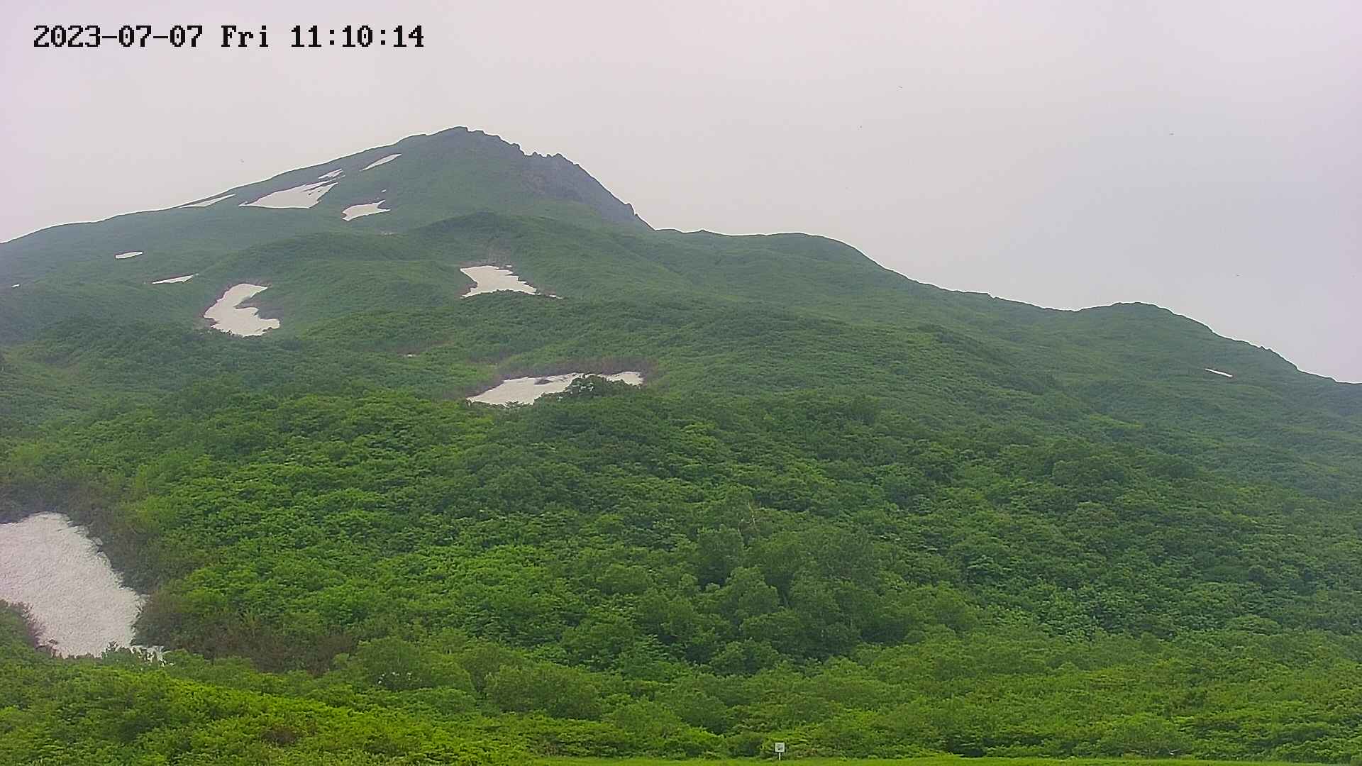 area2-20230707111014.jpg