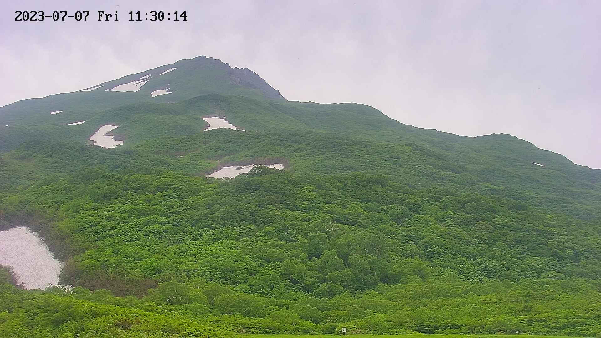 area2-20230707113016.jpg