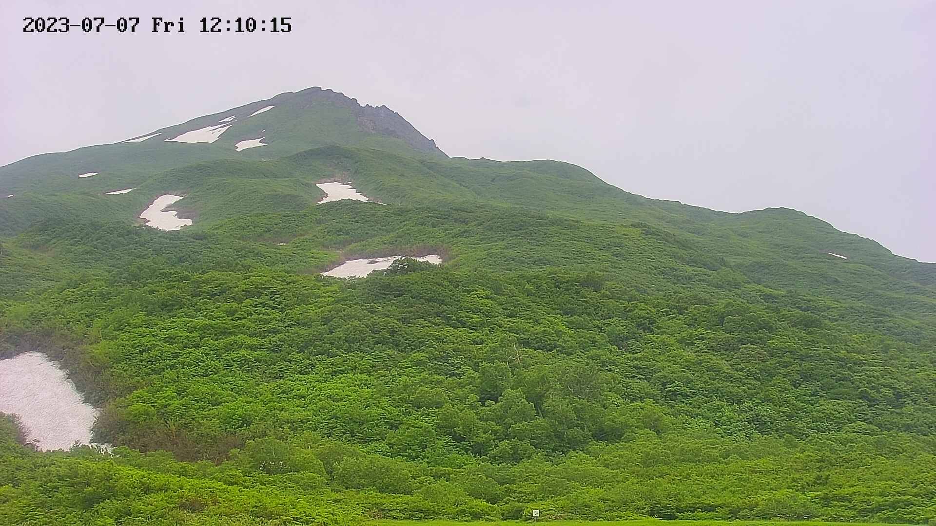 area2-20230707121017.jpg