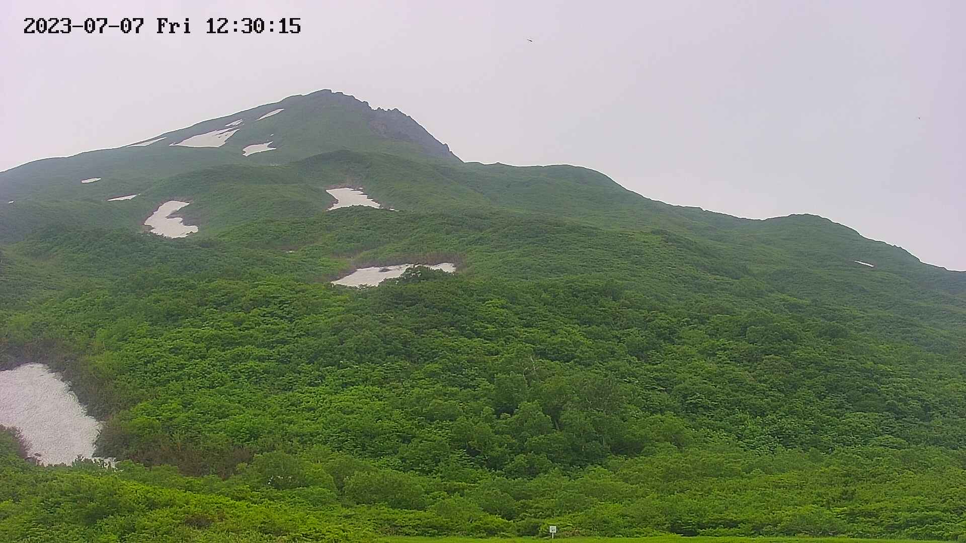 area2-20230707123023.jpg