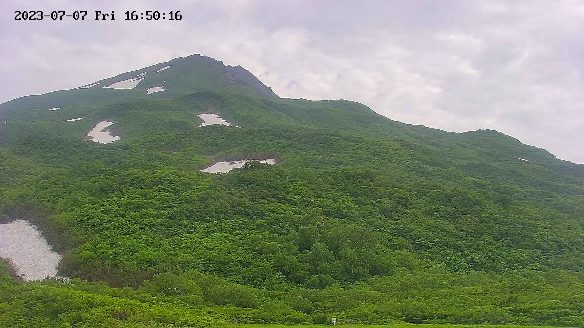 area2-20230707165023.jpg