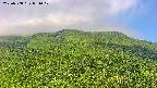 area2-20230808081016.jpg