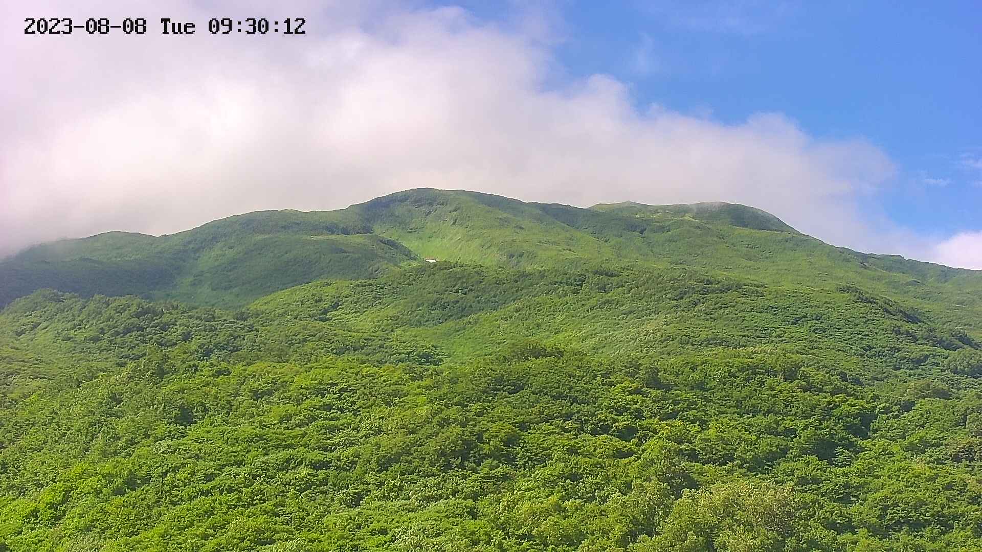 area2-20230808093054.jpg