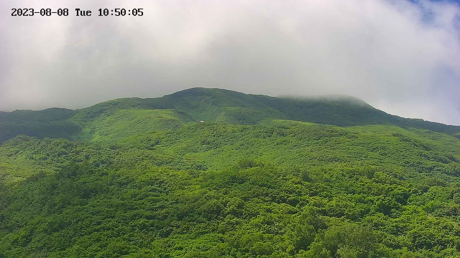 area2-20230808105038.jpg