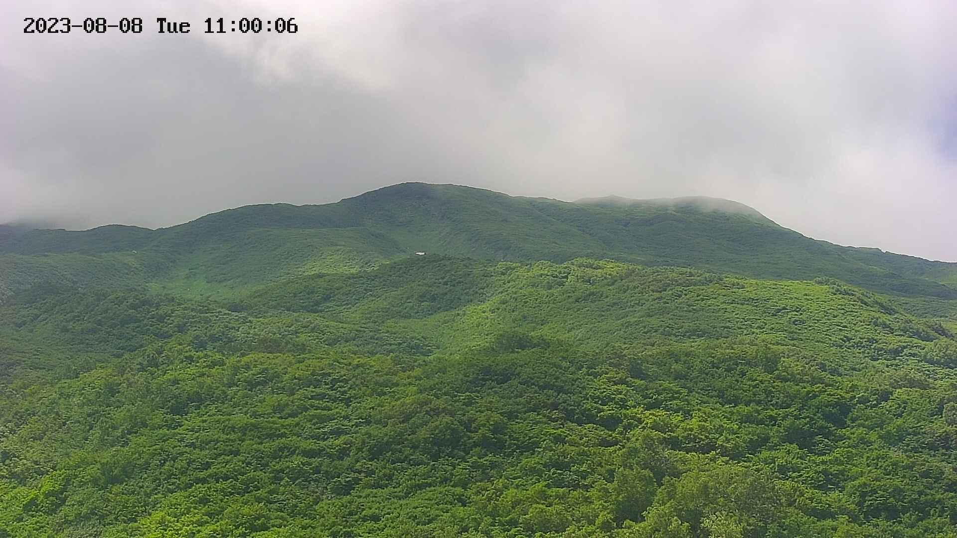 area2-20230808110036.jpg