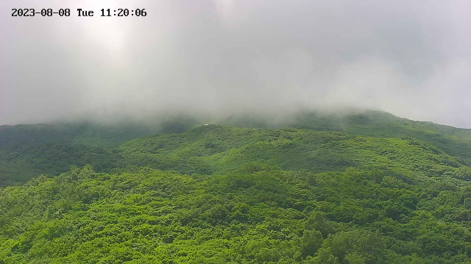 area2-20230808112026.jpg