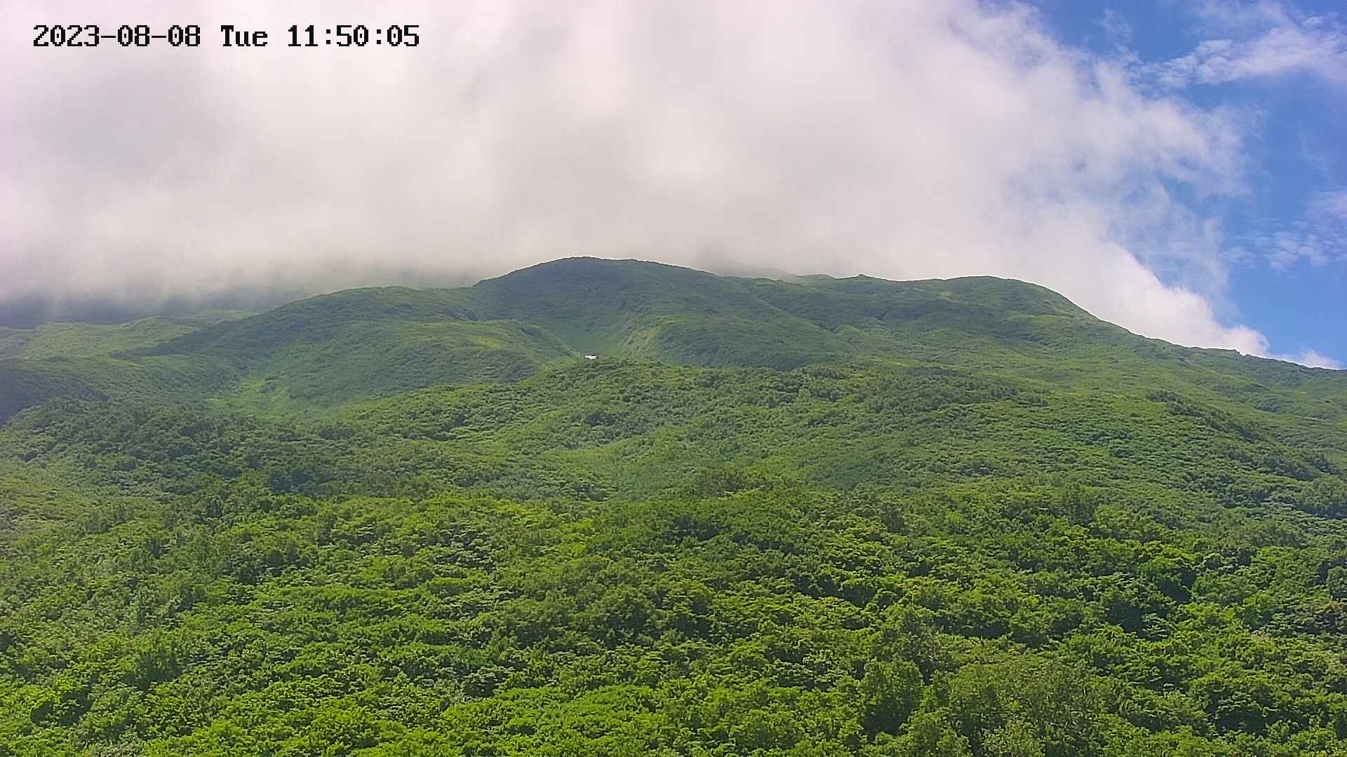 area2-20230808115030.jpg
