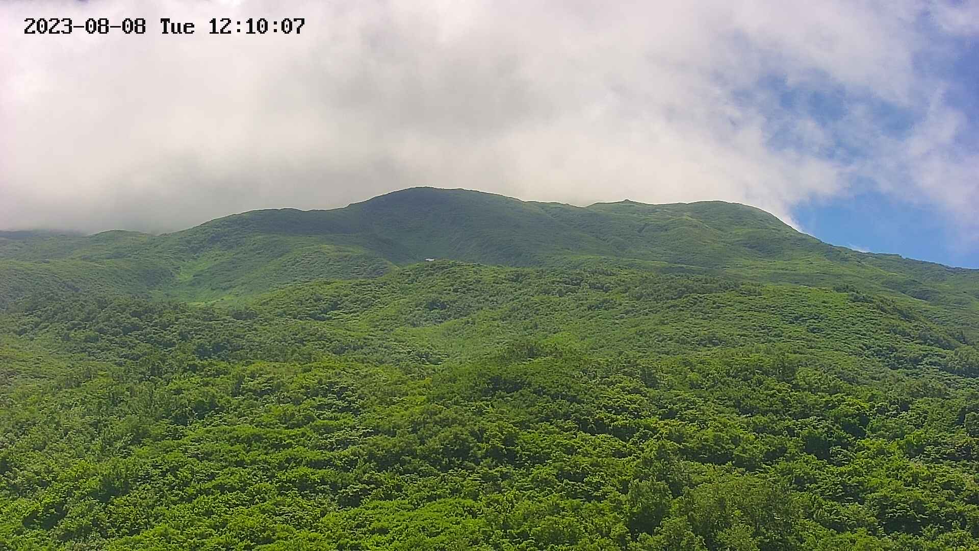 area2-20230808121047.jpg