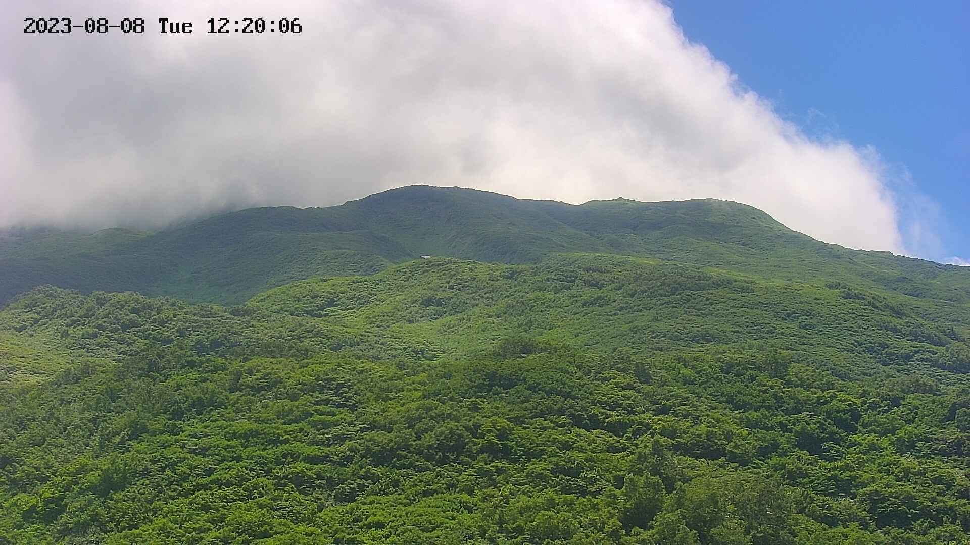 area2-20230808122038.jpg