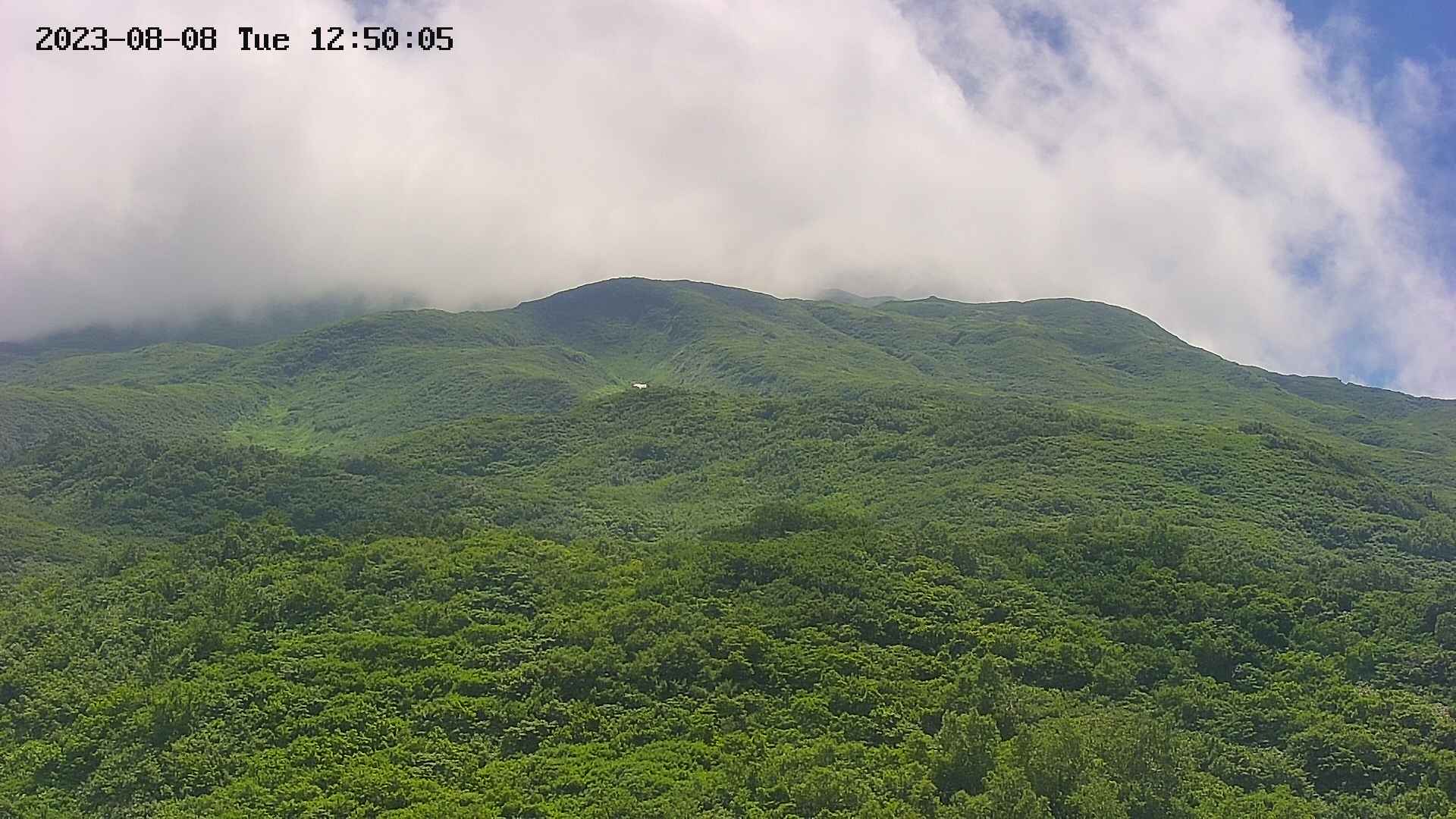 area2-20230808125026.jpg