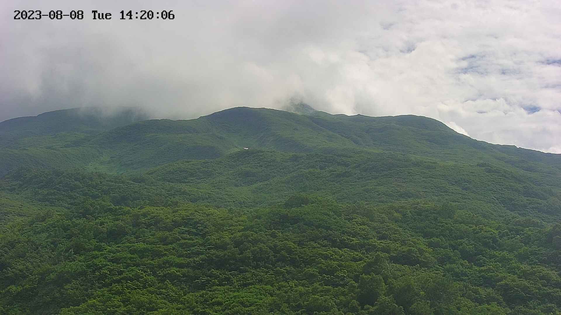area2-20230808142024.jpg