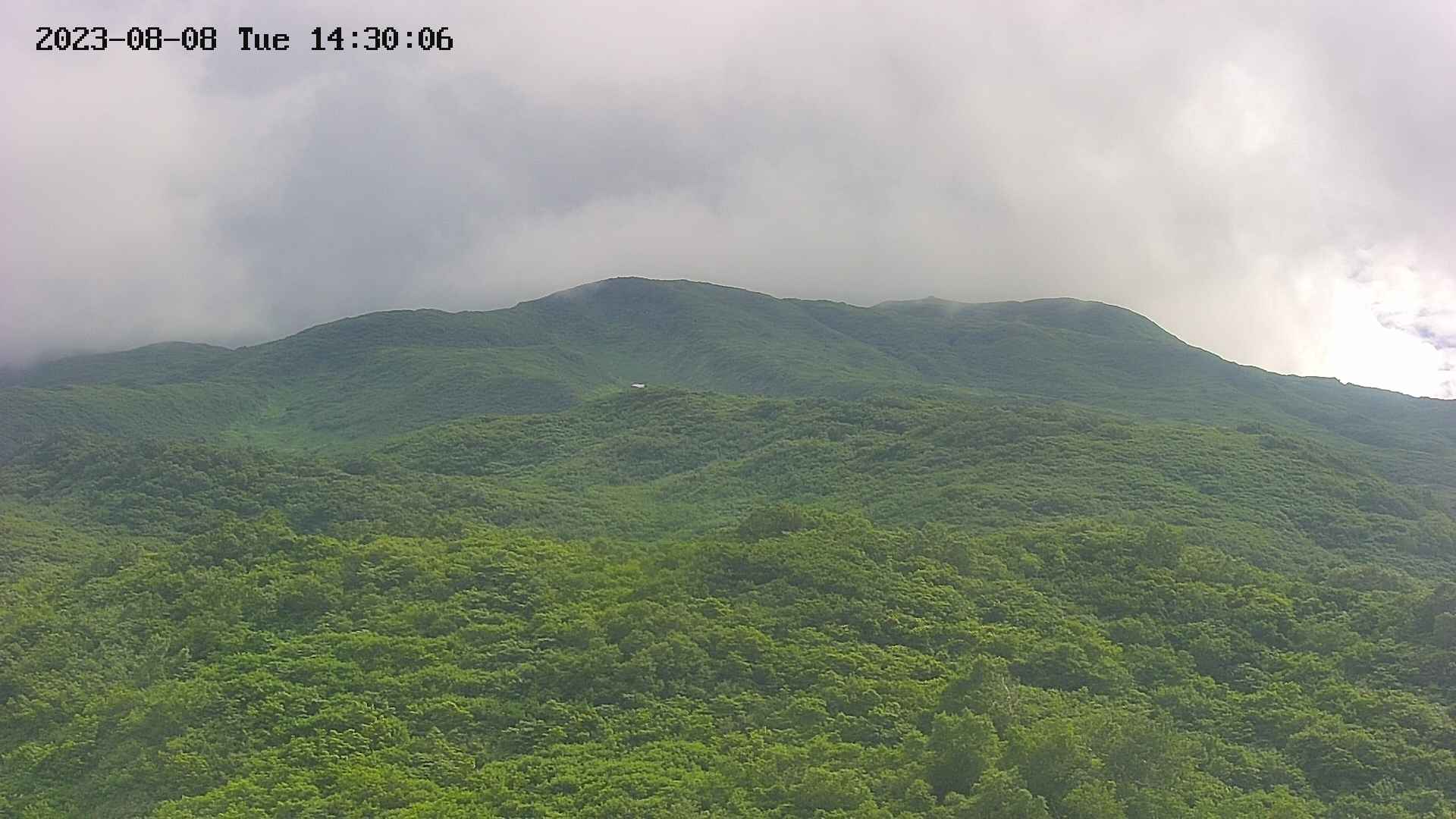 area2-20230808143027.jpg