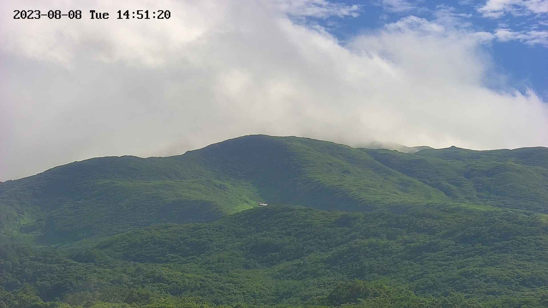 area2-20230808145134.jpg