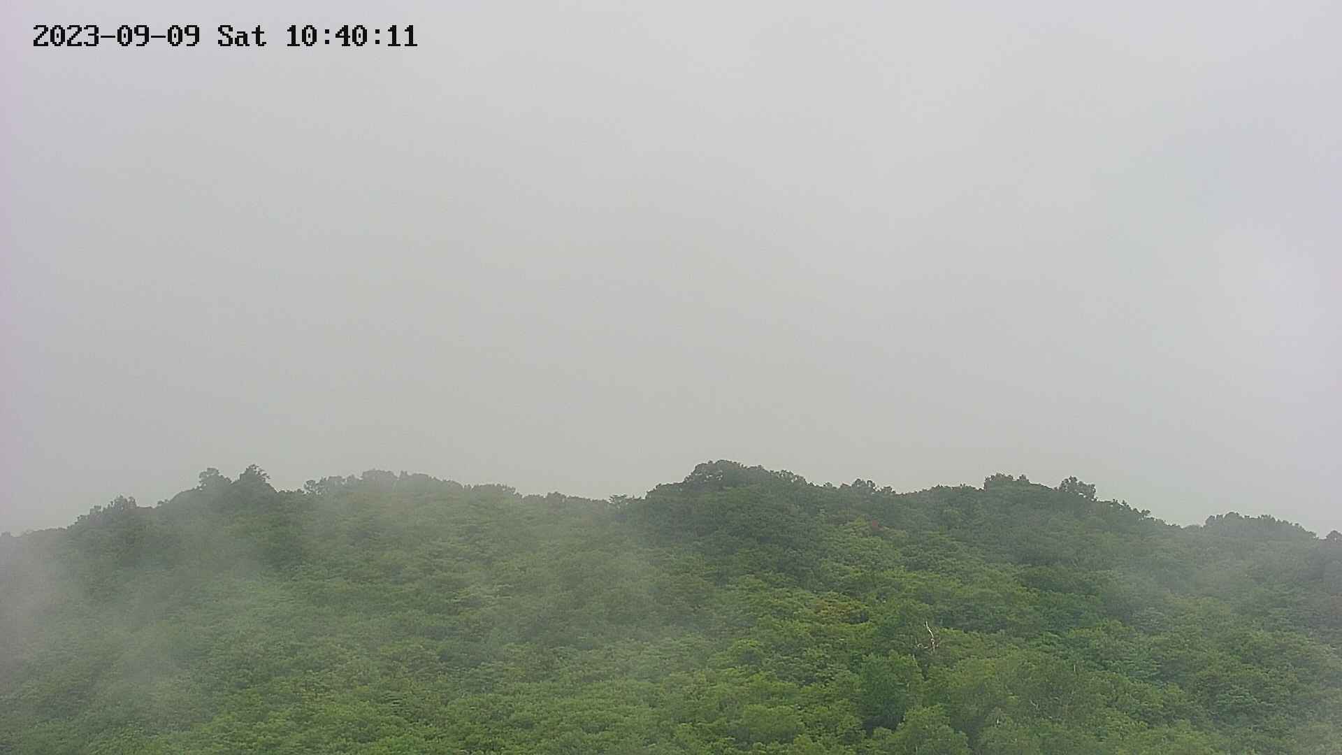 area2-20230909104012.jpg